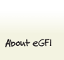 About eGFI